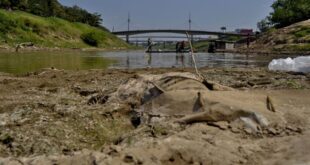 Estiagem: governo decreta situação de emergência em todo o Acre