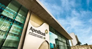 Mulheres e exportação: programa da Apex oferece oportunidades exclusivas para empreendedoras