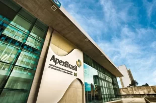 Mulheres e exportação: programa da Apex oferece oportunidades exclusivas para empreendedoras
