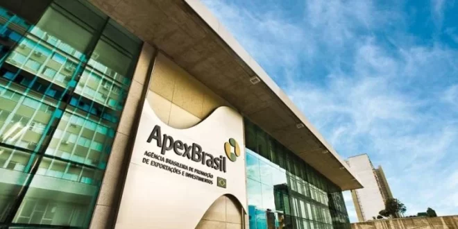 Mulheres e exportação: programa da Apex oferece oportunidades exclusivas para empreendedoras