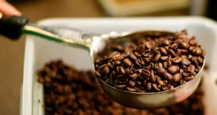 China abre mercado para 183 empresas brasileiras de café