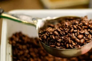 China abre mercado para 183 empresas brasileiras de café