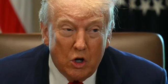 Trump ataca Alemanha por proibir manifestações nazistas