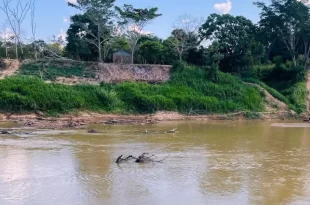 Seca severa: Ministério do Desenvolvimento Regional envia para o Acre R$ 6 milhões para ajuda humanitária