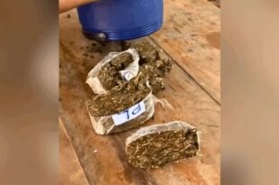 Polícia Penal flagra tentativa de introdução de drogas e celulares em presídio de Rio Branco