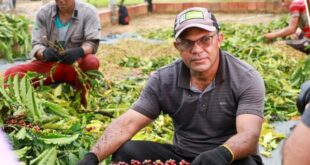 Concurso Qualicafé reúne 48 produtores acreanos