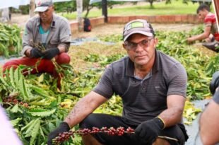 Concurso Qualicafé reúne 48 produtores acreanos