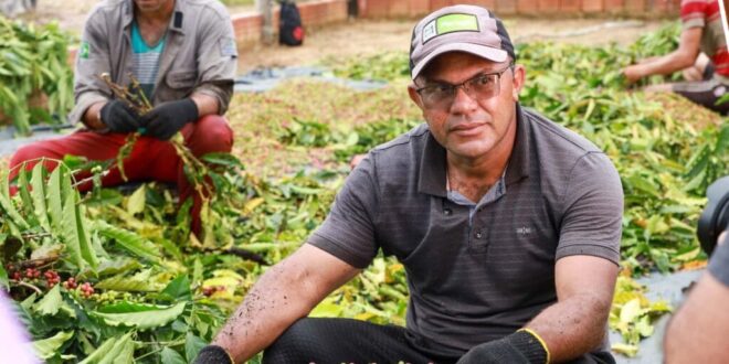 Concurso Qualicafé reúne 48 produtores acreanos