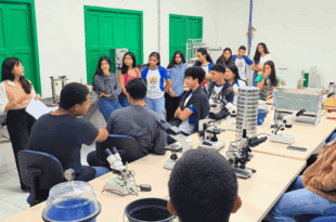 Governo do Acre lança processo seletivo do Ieptec com vagas para profissionais bolsistas docentes mensalistas