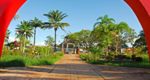 Portaria disciplina participação de crianças e adolescentes na ExpoSena 2025