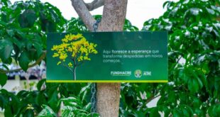 Jardim da Vida fortalece a cultura da doação de órgãos no Acre