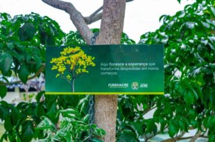 Jardim da Vida fortalece a cultura da doação de órgãos no Acre