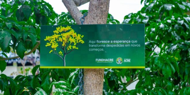 Jardim da Vida fortalece a cultura da doação de órgãos no Acre