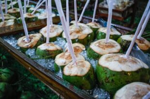 Festival do Coco promete recorde de público em Mâncio Lima