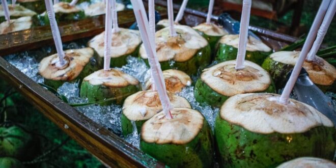 Festival do Coco promete recorde de público em Mâncio Lima