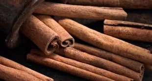 Veja os benefícios da canela para a saúde