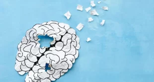 Cientistas brasileiros identificam molécula que pode revolucionar tratamento do Alzheimer