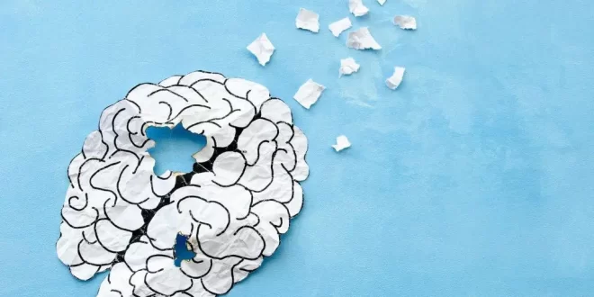 Cientistas brasileiros identificam molécula que pode revolucionar tratamento do Alzheimer