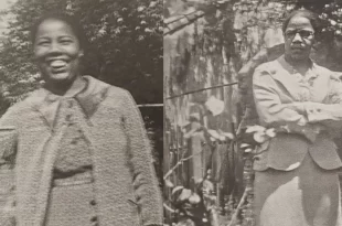 Um pouco de história: primeira deputada negra no Brasil foi quem criou o Dia do Professor