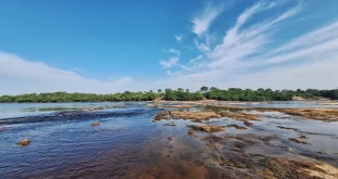 Aquecimento global: Amazônia enfrenta escalada inédita de temperaturas extremas em áreas preservadas