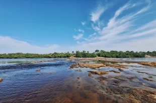 Aquecimento global: Amazônia enfrenta escalada inédita de temperaturas extremas em áreas preservadas
