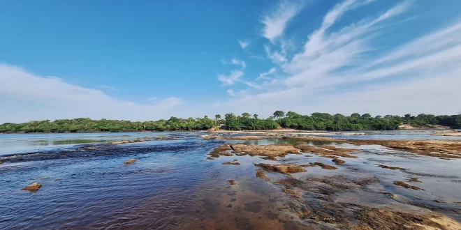 Aquecimento global: Amazônia enfrenta escalada inédita de temperaturas extremas em áreas preservadas