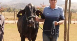 Deputado do União Brasil é condenado por desviar remédios do SUS para gado de sua fazenda