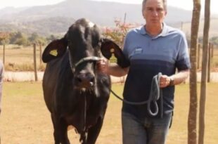 Deputado do União Brasil é condenado por desviar remédios do SUS para gado de sua fazenda