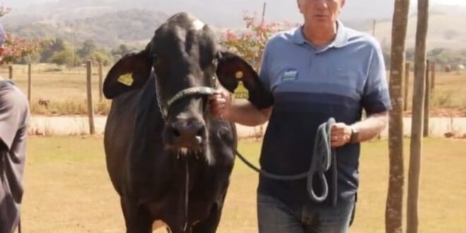 Deputado do União Brasil é condenado por desviar remédios do SUS para gado de sua fazenda