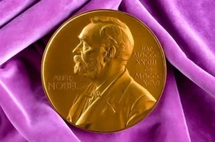 Coluna da Angélica: quanto vale um Nobel, ou é por quilo?