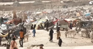 Ataque de milícia mata pelo menos 60 pessoas em campo de refugiados no Sudão