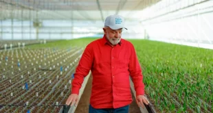 Efeito Lula: preço dos alimentos cai pelo quarto mês consecutivo
