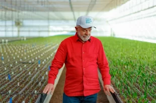 Efeito Lula: preço dos alimentos cai pelo quarto mês consecutivo