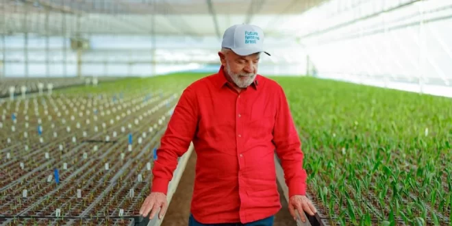 Efeito Lula: preço dos alimentos cai pelo quarto mês consecutivo