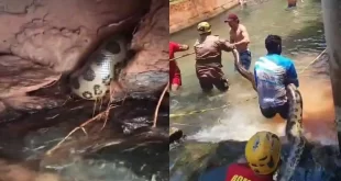Sucuri de 5 metros é resgatada em balneário de Goiás e devolvida à natureza