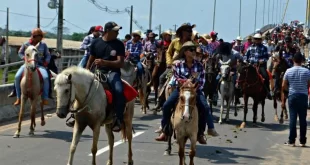 MPAC obtém condenações do Estado e dos Municípios de Cruzeiro do Sul e Mâncio Lima por irregularidades em cavalgadas oficiais