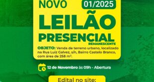 Governo promove leilões eletrônicos e presencial em novembro