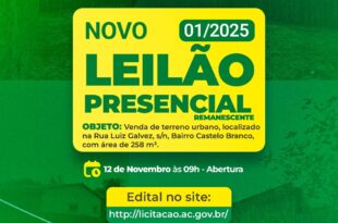 Governo promove leilões eletrônicos e presencial em novembro