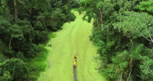 Seis experiências turísticas do Acre são apresentadas no Catálogo Conheça o Brasil na COP30