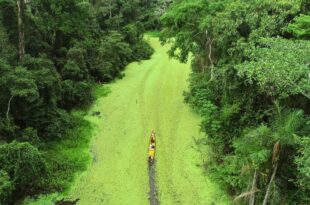 Seis experiências turísticas do Acre são apresentadas no Catálogo Conheça o Brasil na COP30