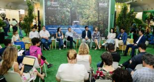 Acre integra painel do BNDES sobre concessões florestais na COP30