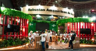 Cafés robusta amazônicos se destacam em evento internacional e projetam o Acre no setor