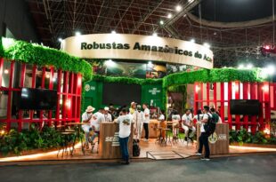 Cafés robusta amazônicos se destacam em evento internacional e projetam o Acre no setor
