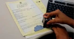 Curiosidade: veja quais são os nomes e sobrenomes mais comuns no Brasil