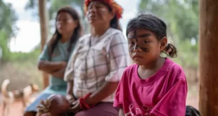Violência no campo: ataque à aldeia deixa um indígena morto e 3 feridos