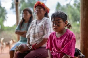 Violência no campo: ataque à aldeia deixa um indígena morto e 3 feridos