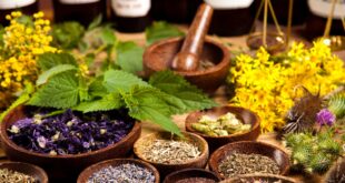 Pesquisadores do Brasil usam COP para apresentar medicamentos naturais