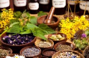 Pesquisadores do Brasil usam COP para apresentar medicamentos naturais