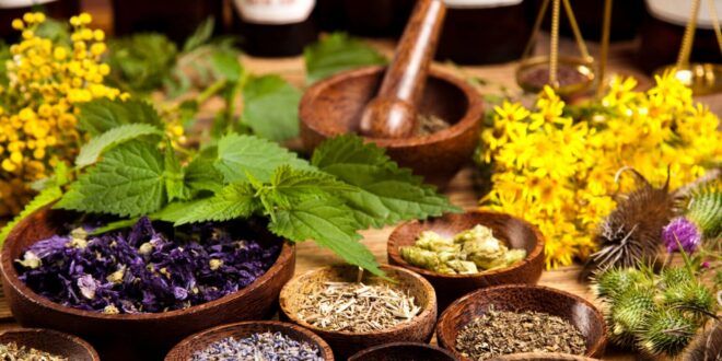 Pesquisadores do Brasil usam COP para apresentar medicamentos naturais