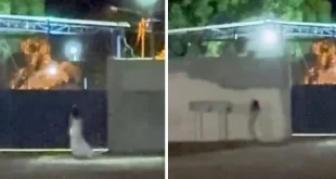 Noiva misteriosa é filmada em frente a cemitério e alimenta especulações sobre noiva fantasma